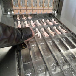 食品包装新篇章 揭秘全自动真空包装机与诸城神州机械的行业贡献